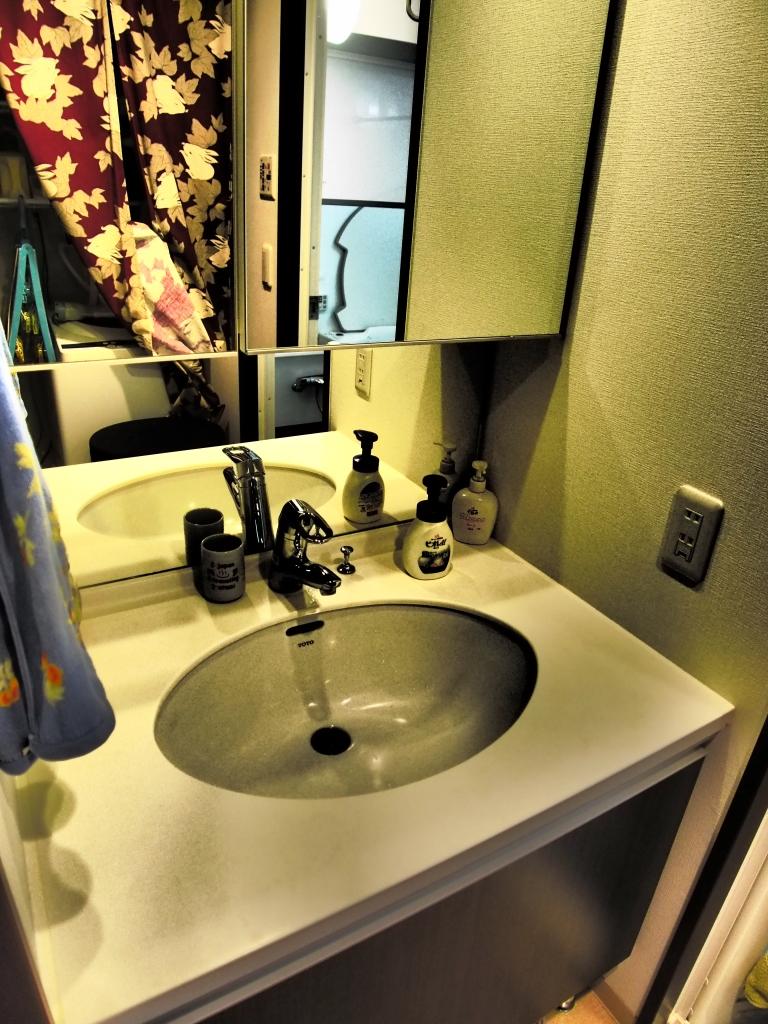 Wash basin, toilet. Indoor (June 2013) Shooting