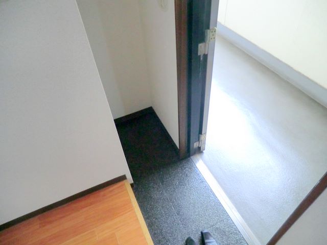 Entrance. Reference photograph Another room