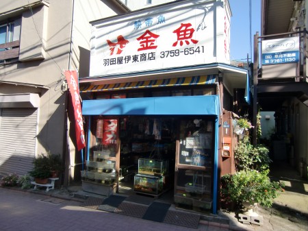 Other. Musashi Nitta Station