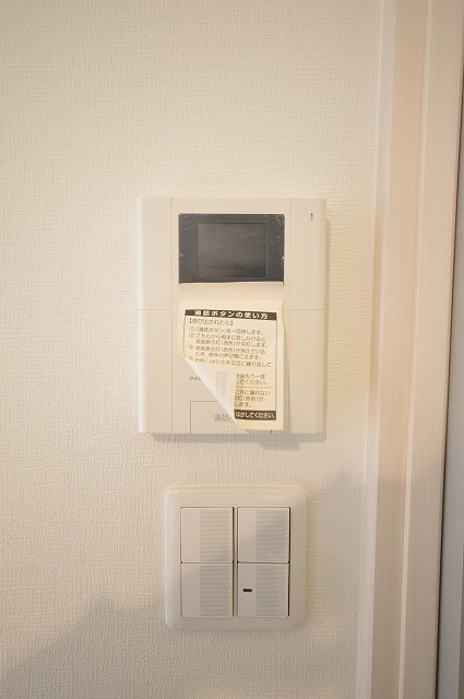 Security. TV monitor phone