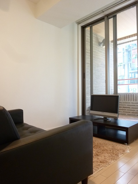 Living and room. model room