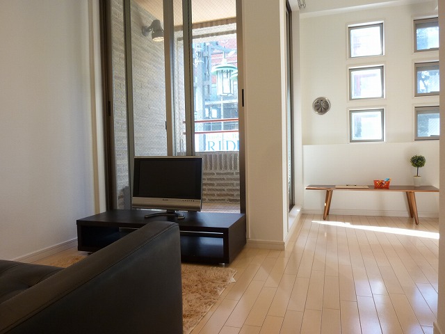 Living and room. model room