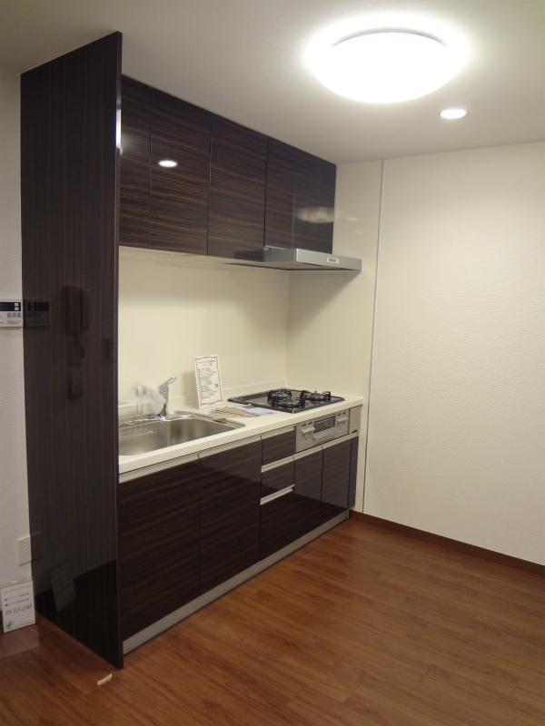 Kitchen. Indoor (11 May 2013) Shooting