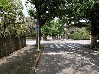 Other. It is cityscape from Den-en Chofu Station