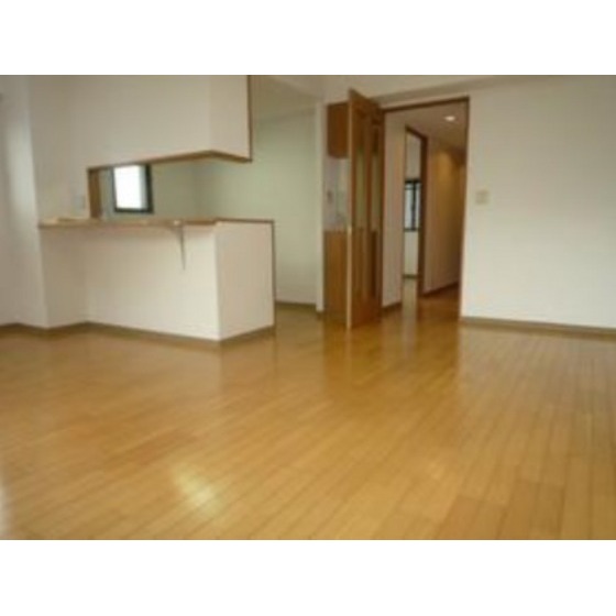 Living and room. Spacious living room