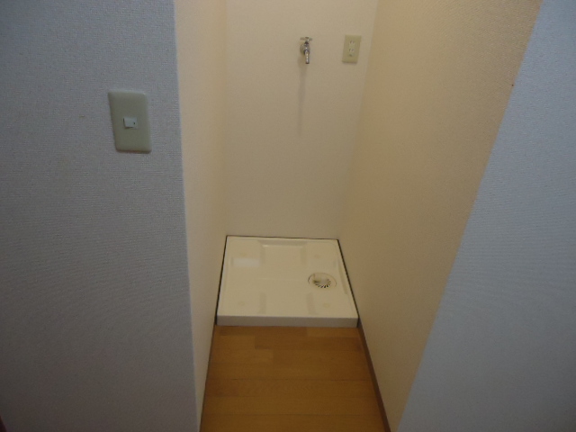 Other room space. Washing machine in the room