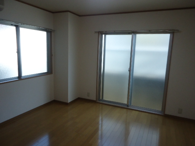 Living and room. Western-style two-sided lighting