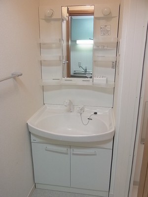 Washroom. Preparation of the morning in a separate washbasin are easy