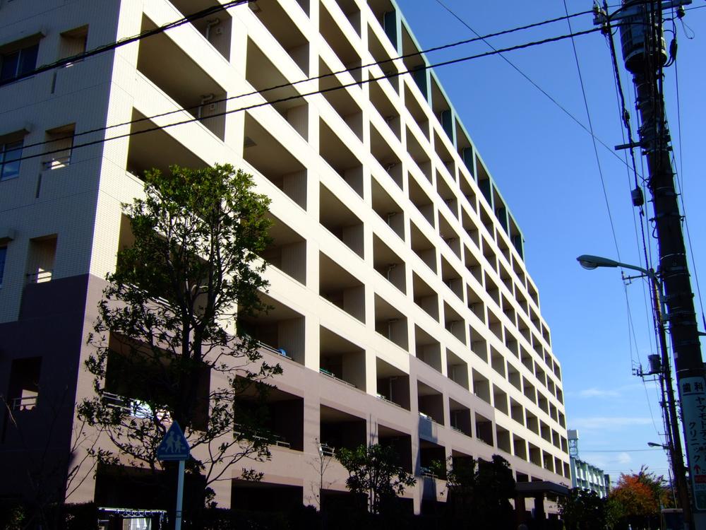 Local appearance photo. local