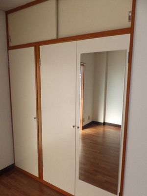 Other. With appearance mirror