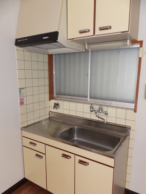 Kitchen. Gasukitchin (installation type)