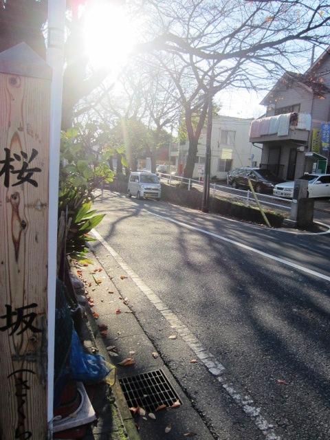 Streets around. Until Sakurazaka 160m