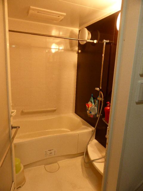 Bathroom. 2013 December shooting