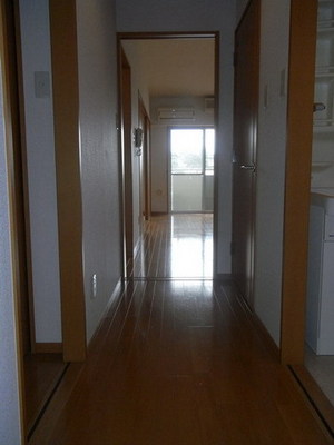 Entrance. Corridor