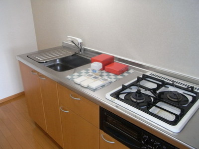 Kitchen. Two-burner gas stove system Kitchen