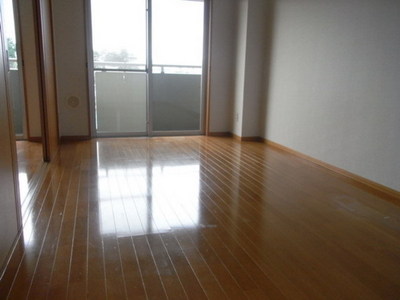 Living and room. Bright living room