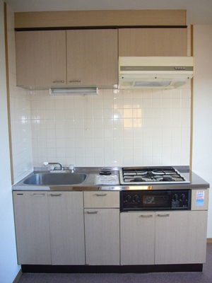 Kitchen. System kitchen (with a three-necked grill)