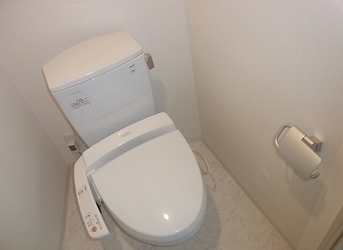 Toilet. Warm water washing toilet seat