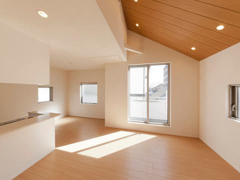 Same specifications photos (living). Example of construction