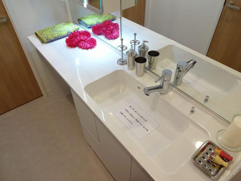 Wash basin, toilet. Bathroom vanity