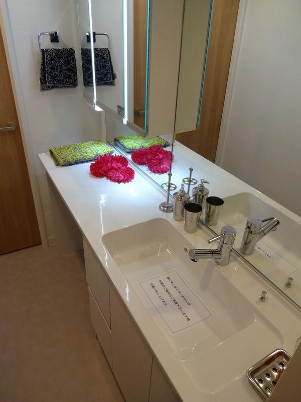 Wash basin, toilet. Bathroom vanity