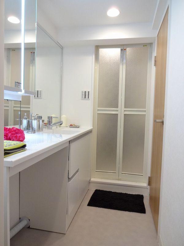 Wash basin, toilet. Bathroom vanity