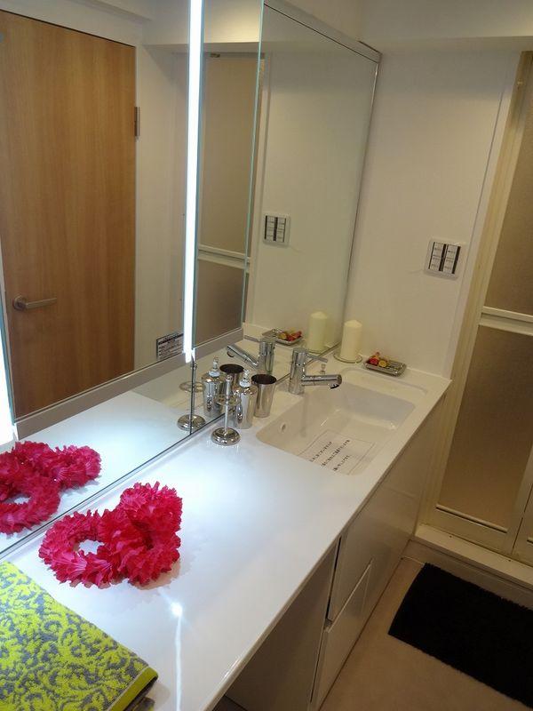 Wash basin, toilet. Bathroom vanity