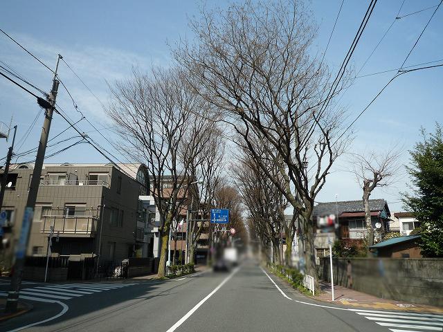 Streets around. 500m to a tree-lined street