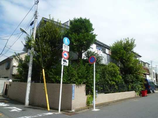 Local land photo. Appearance (1)