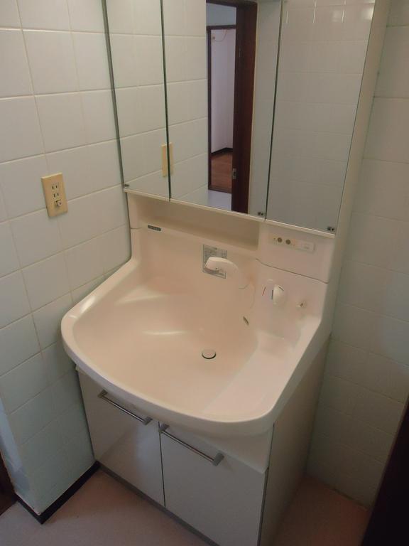 Washroom. Shampoo dresser