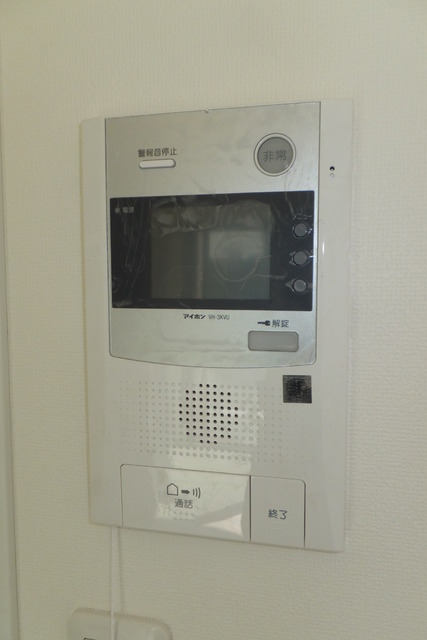 Security. Interphone with a monitor of the peace of mind