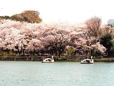 park. 697m until Senzokuike park