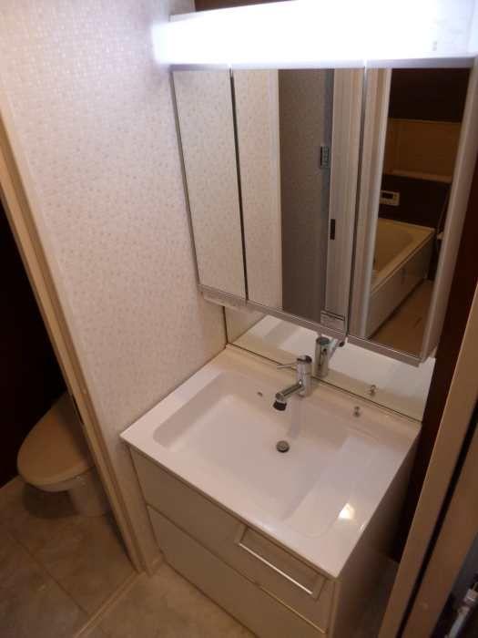 Same specifications photos (Other introspection)