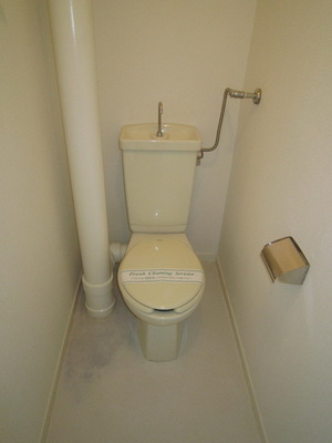 Toilet. Toilet space
