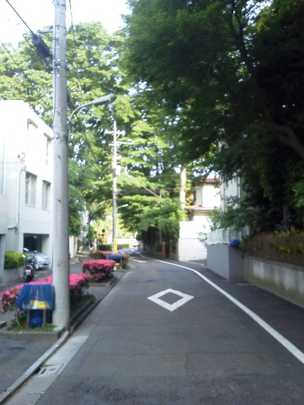 Local land photo. Neighborhood landscape 1