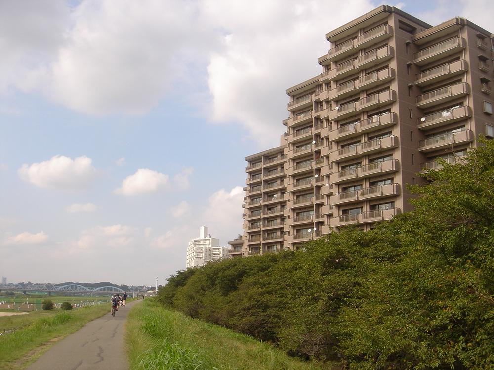 Local appearance photo. Local (August 2013)