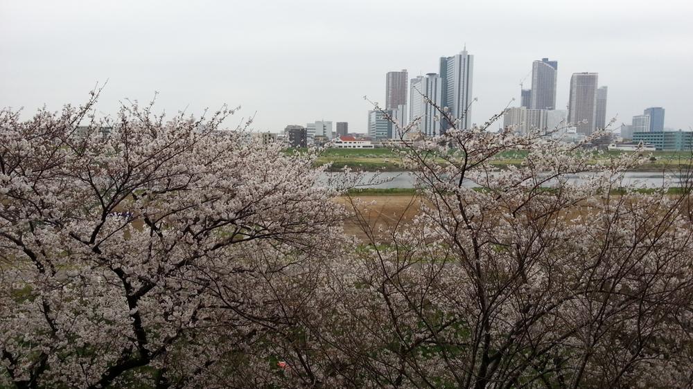View photos from the dwelling unit. View from local (April 2013) Shooting