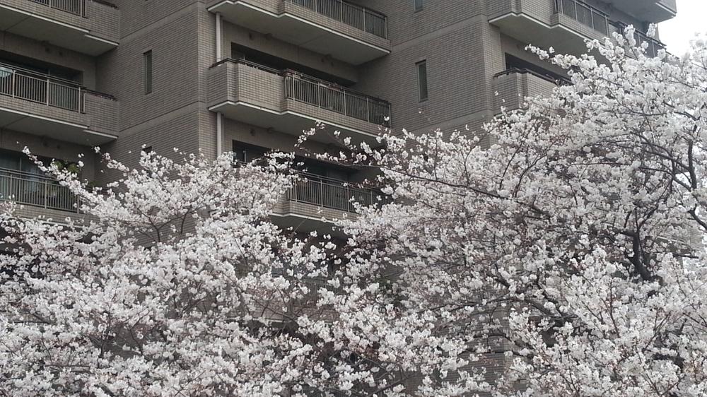 Other introspection. Indoor (April 2013) Shooting