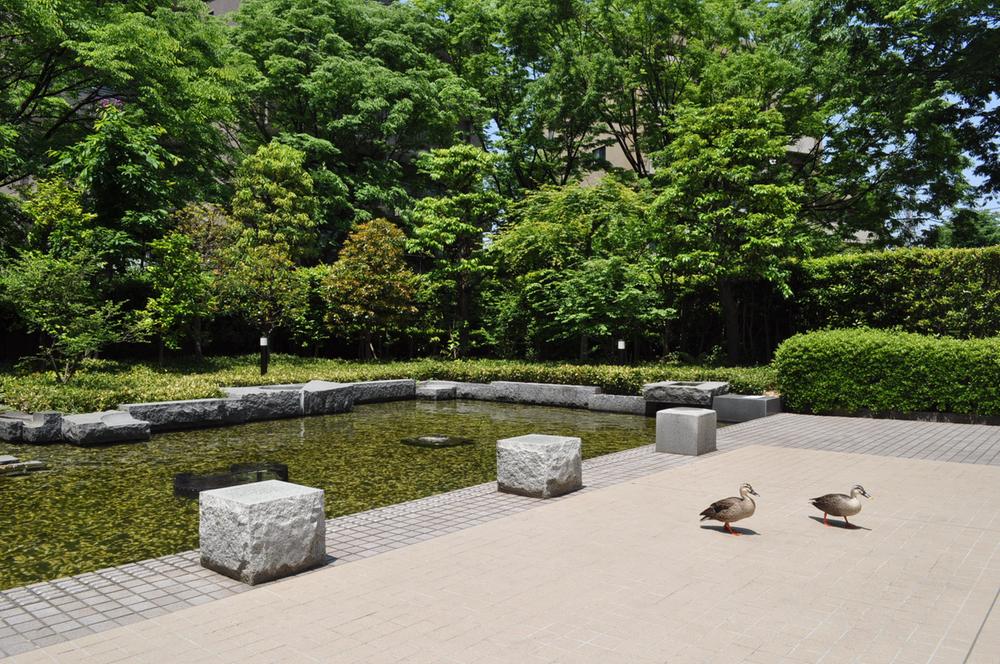 Garden. Local (July 2013) Shooting