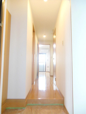 Entrance. Entrance space