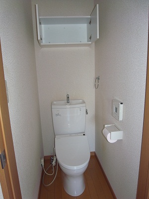 Toilet. With Washlet