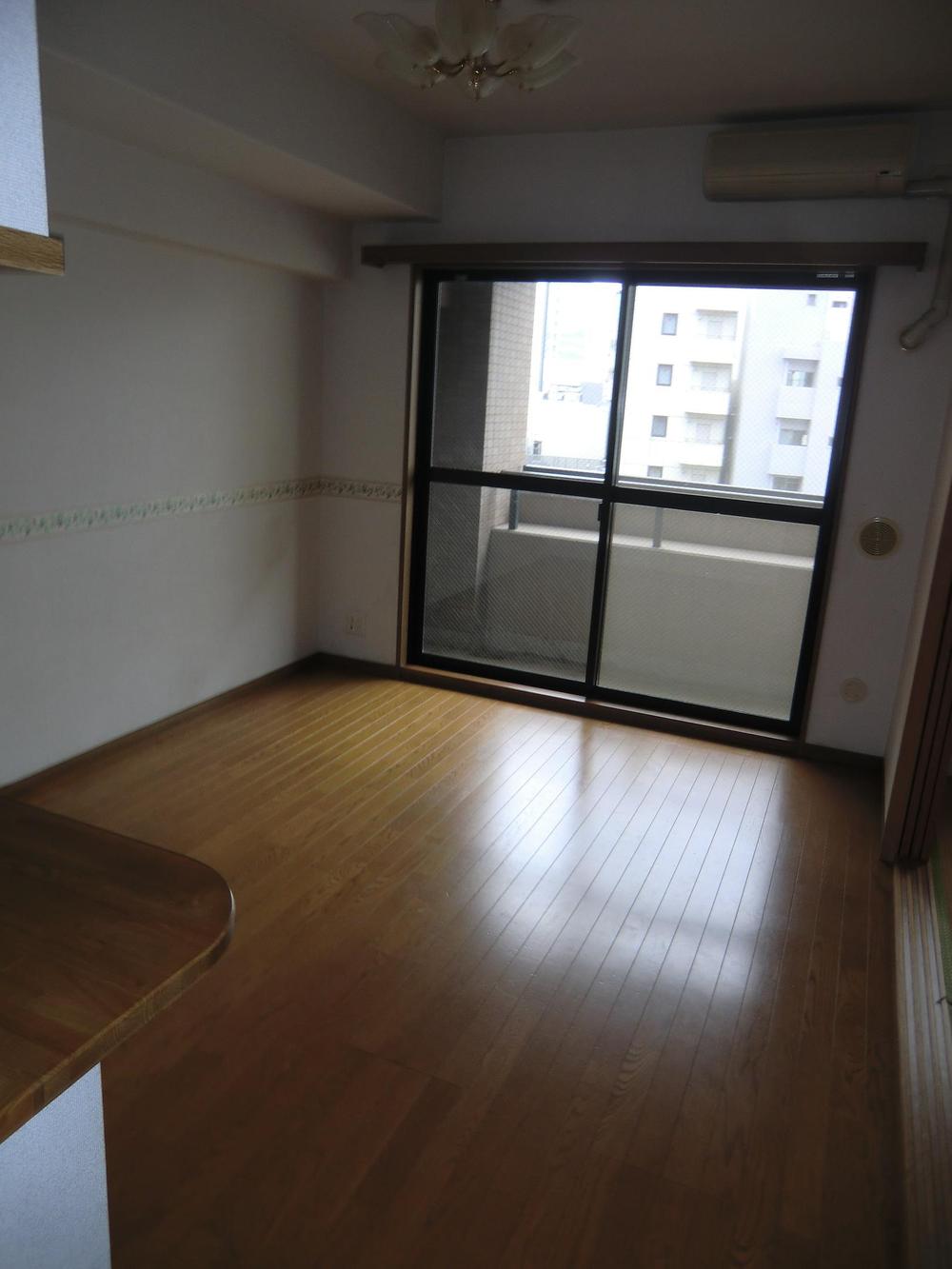 Other introspection. Room (August 2013) Shooting