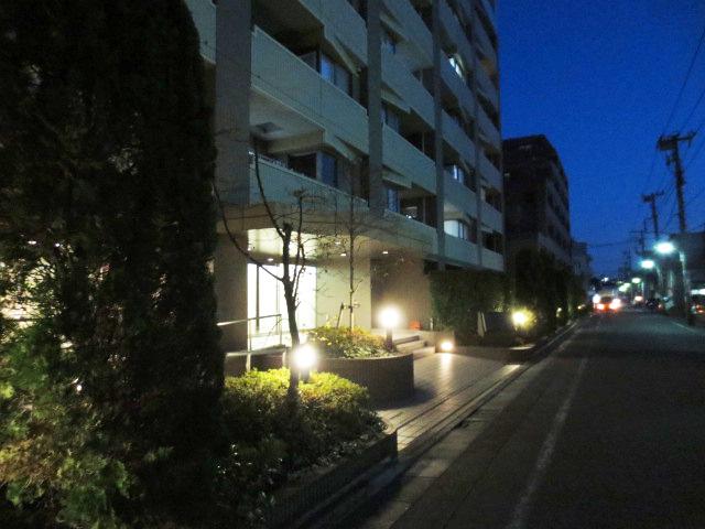 Local appearance photo. Night light up appearance