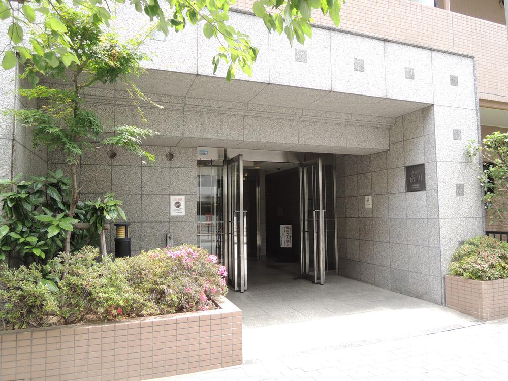 Entrance. Common areas