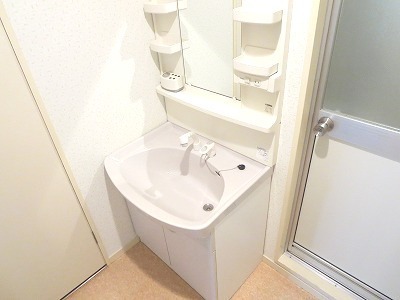 Washroom. Shampoo dresser