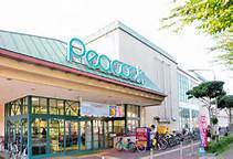 Supermarket. 352m until the (reference) Peacock Store (Super)