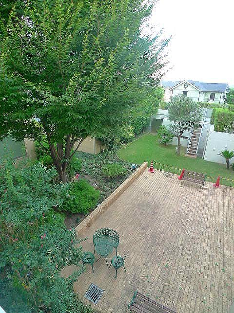 Garden. Shared garden