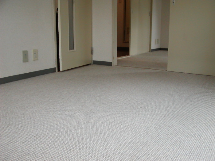 Living and room. It is carpet.