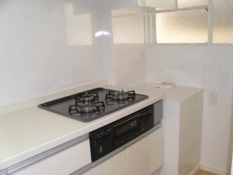 Kitchen. Indoor (11 May 2013) Shooting