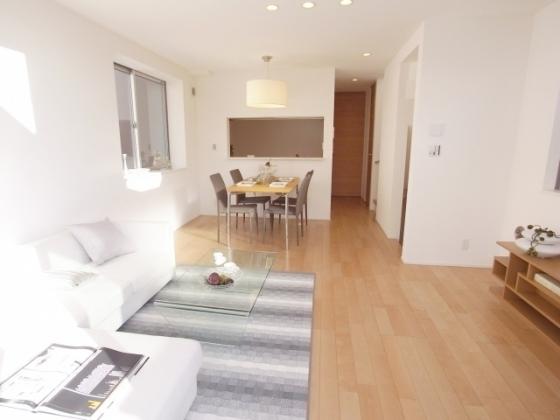 Same specifications photos (living). Building construction cases